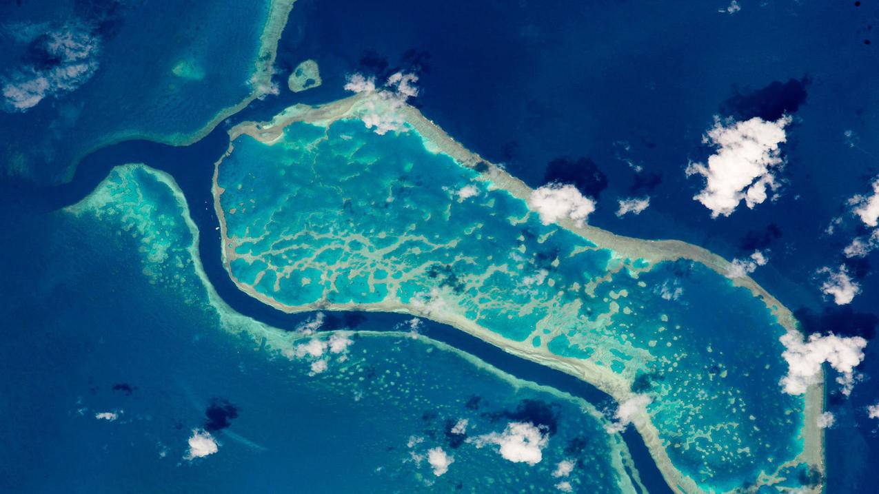 网红商城